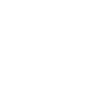 SPE Inernational