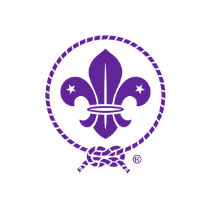 scouts